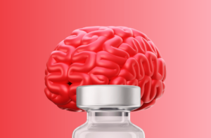 Featured image for peptides in brain function research